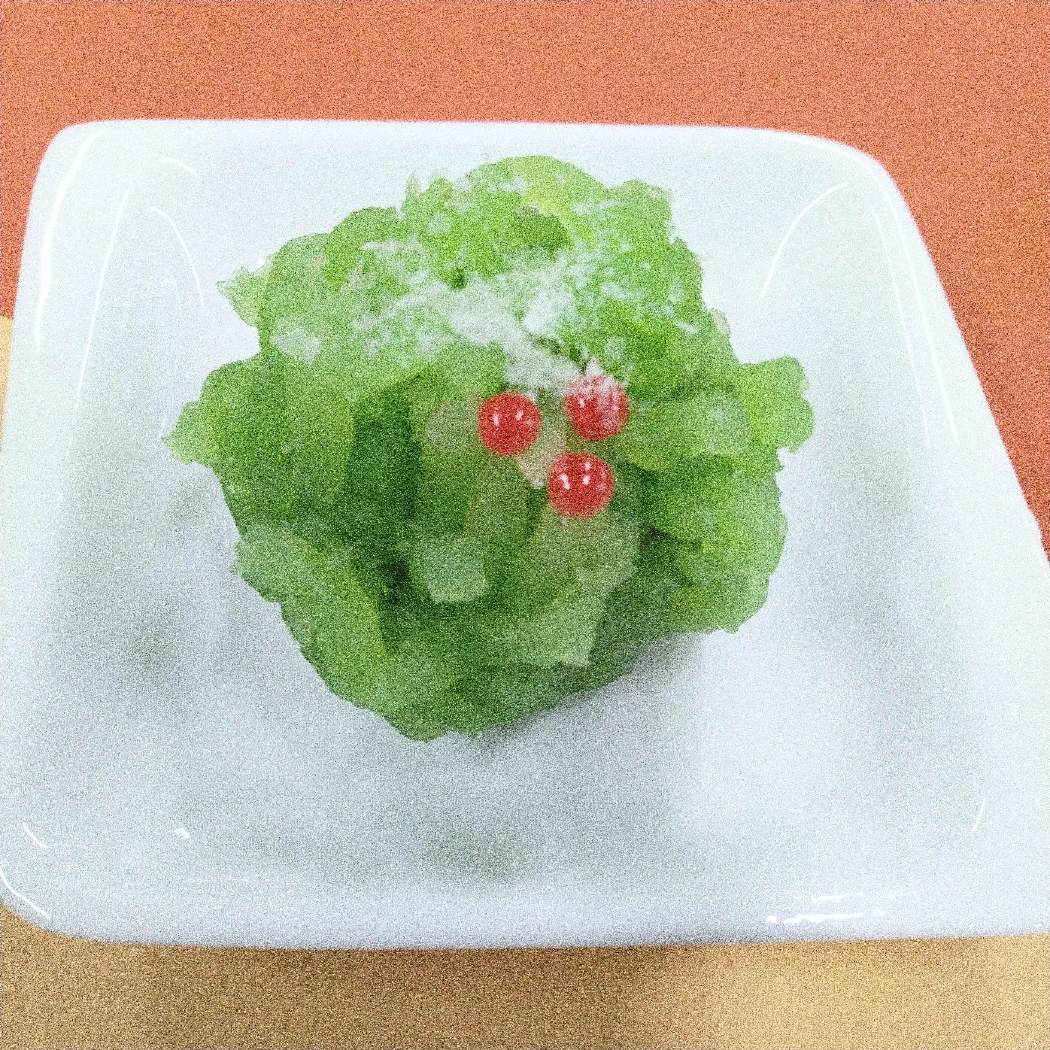 冬の庭(ふゆのにわ)