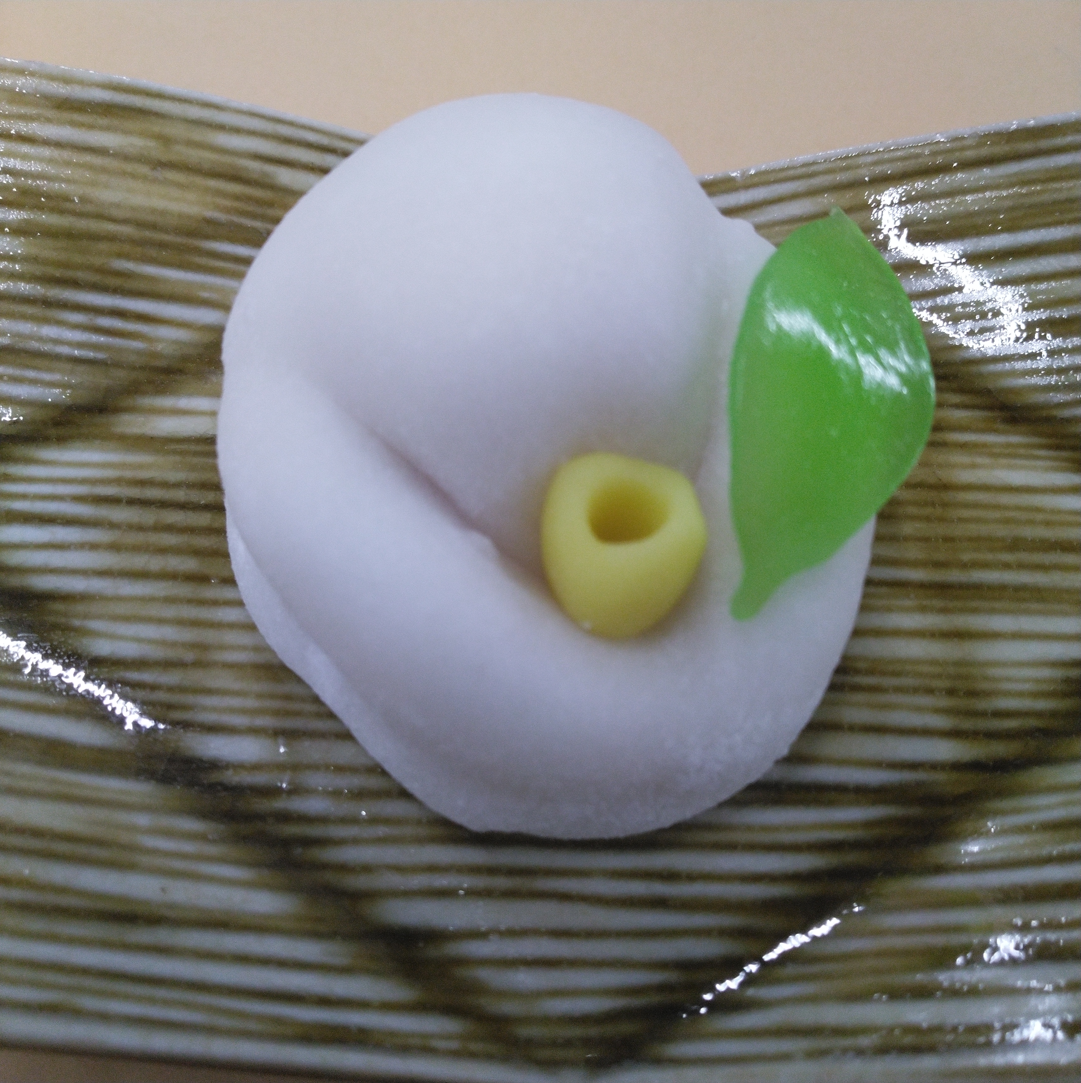 白椿