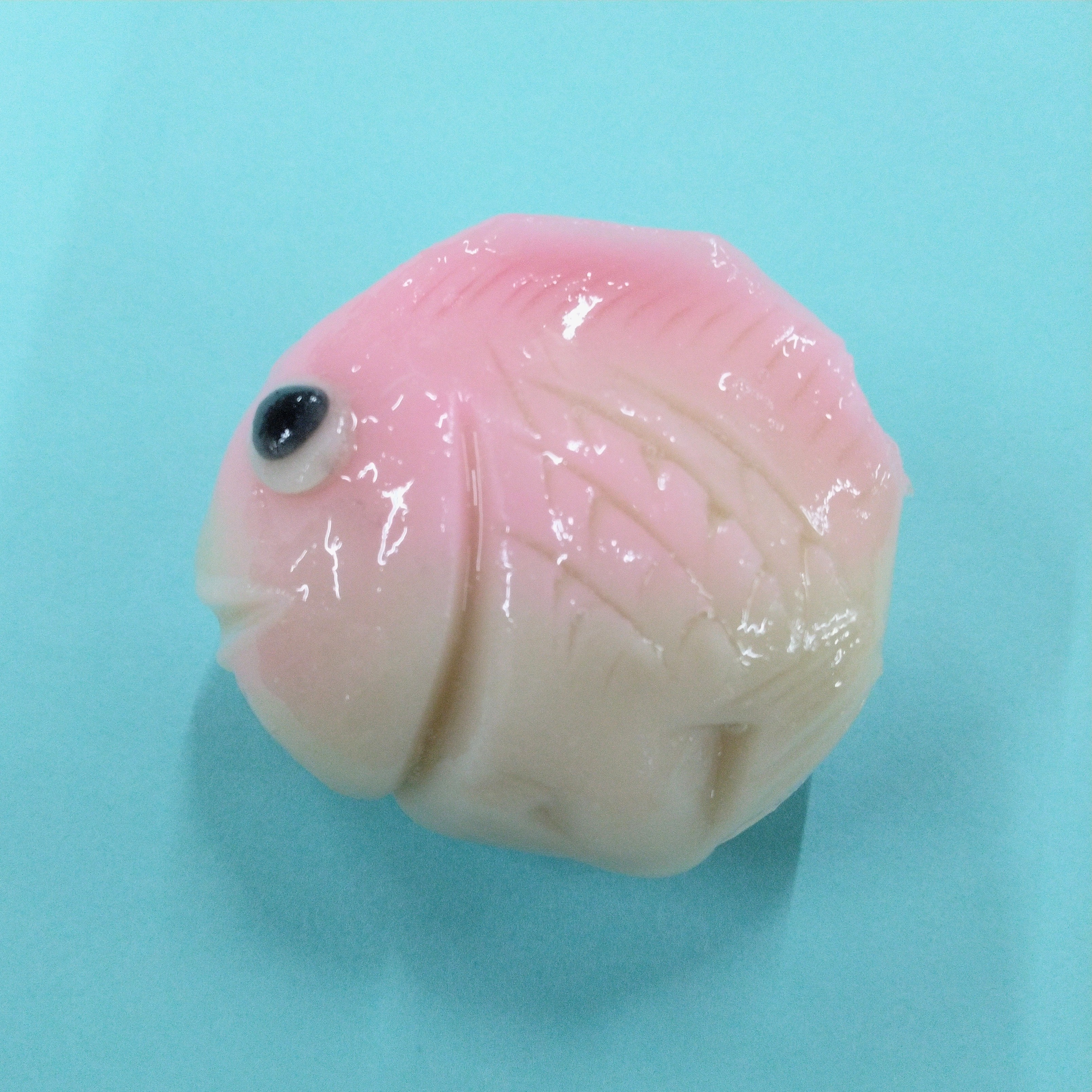 めで鯛