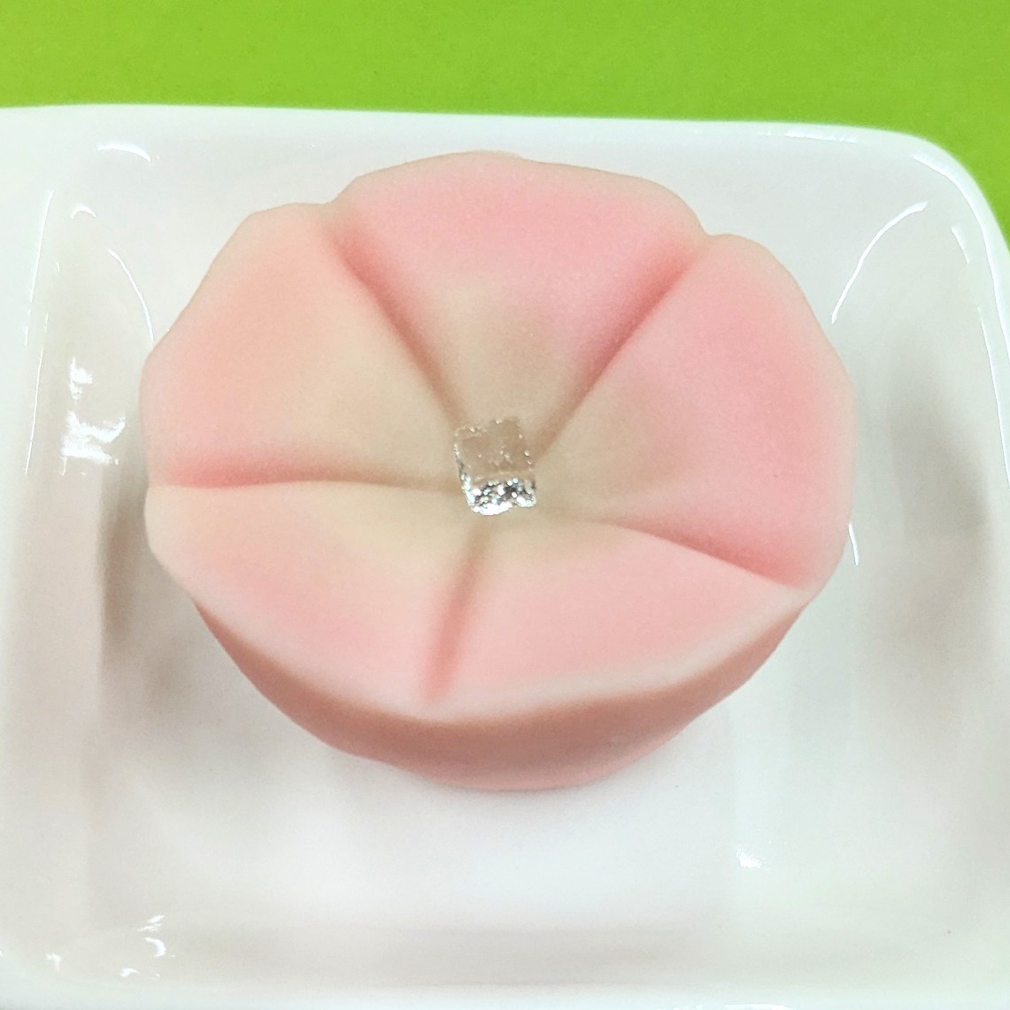 目ざめ草(めざめぐさ)