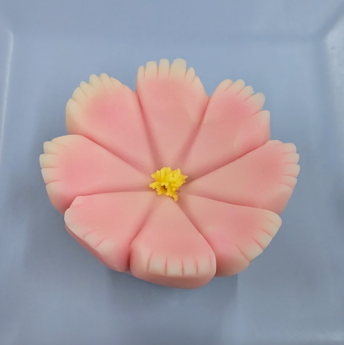 秋桜(コスモス)