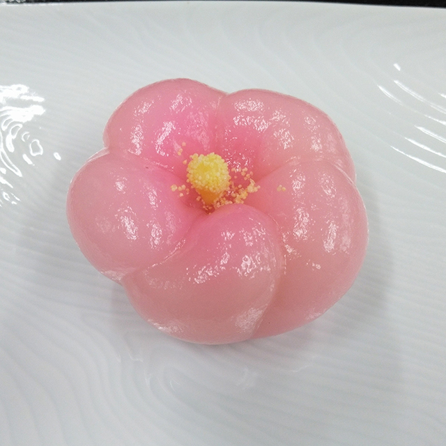 芙蓉