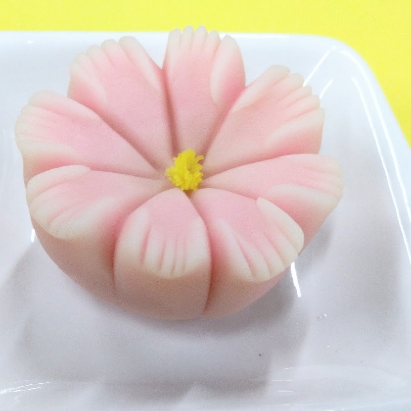 秋桜(コスモス)